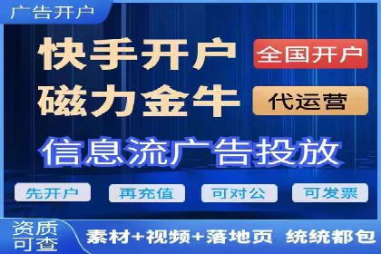 某知名企业SEM营销全案解析
